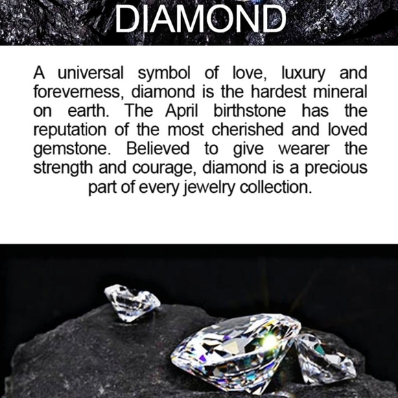 🆕🆑 Diamond Accent Hoop Encrusted Earrings | Inside Out Rhodium Platinum Silver - Picture 7 of 11